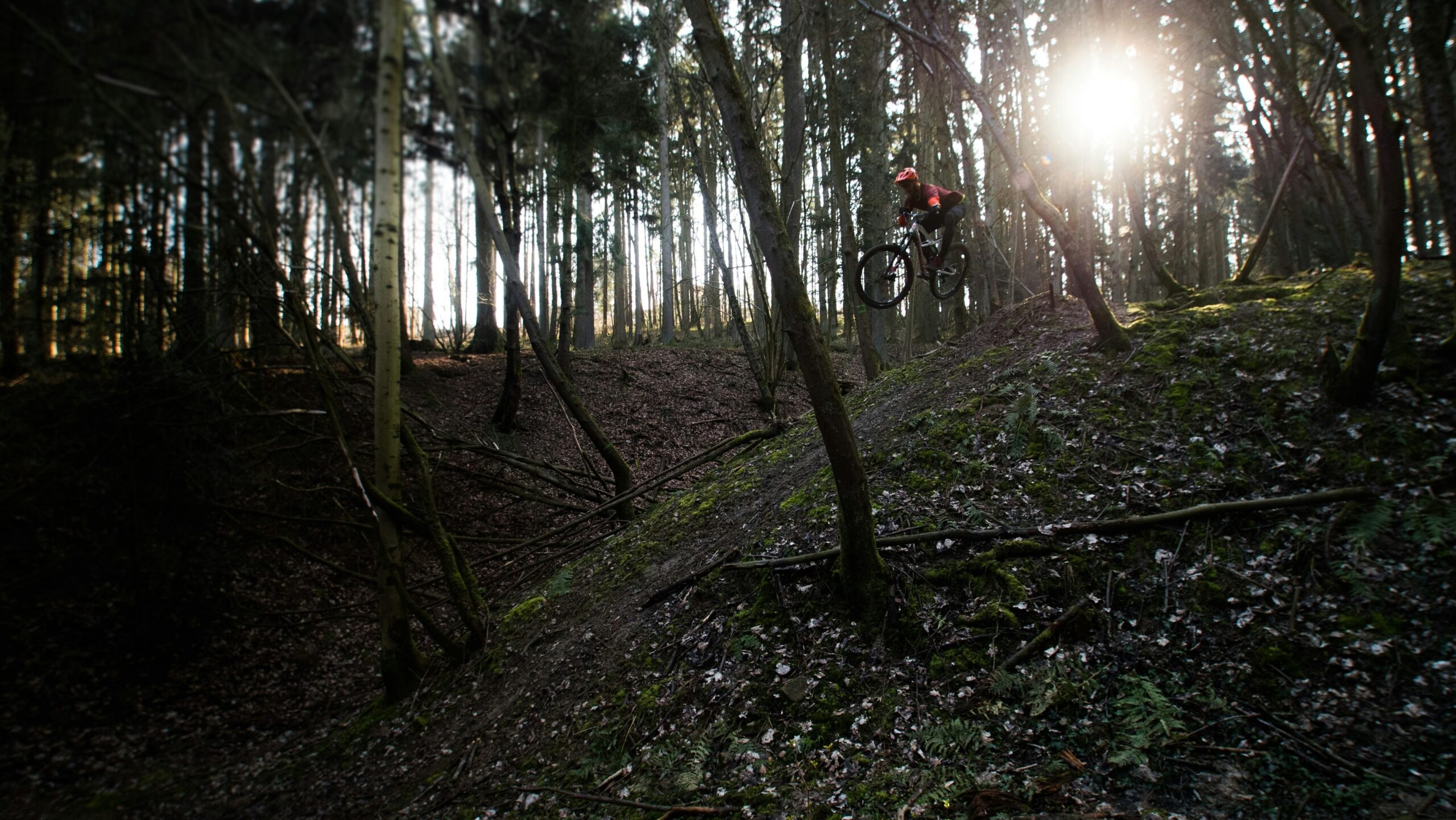 A cyclist riding an e-bike along a winding forest trail surrounded by tall trees