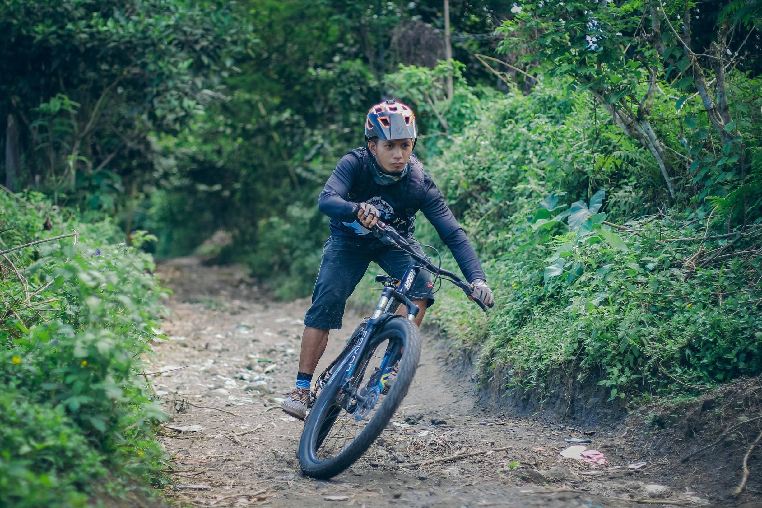 Cyclist biking along a lush forest path