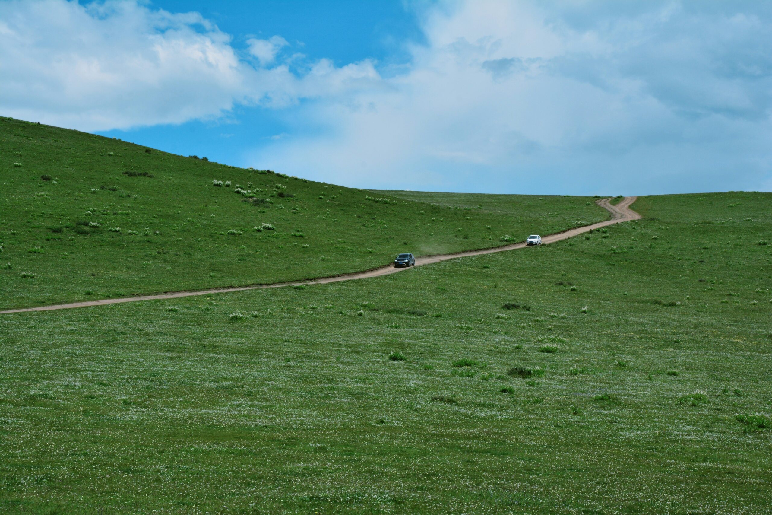 A group of cyclists celebrating after reaching the top of a hill.