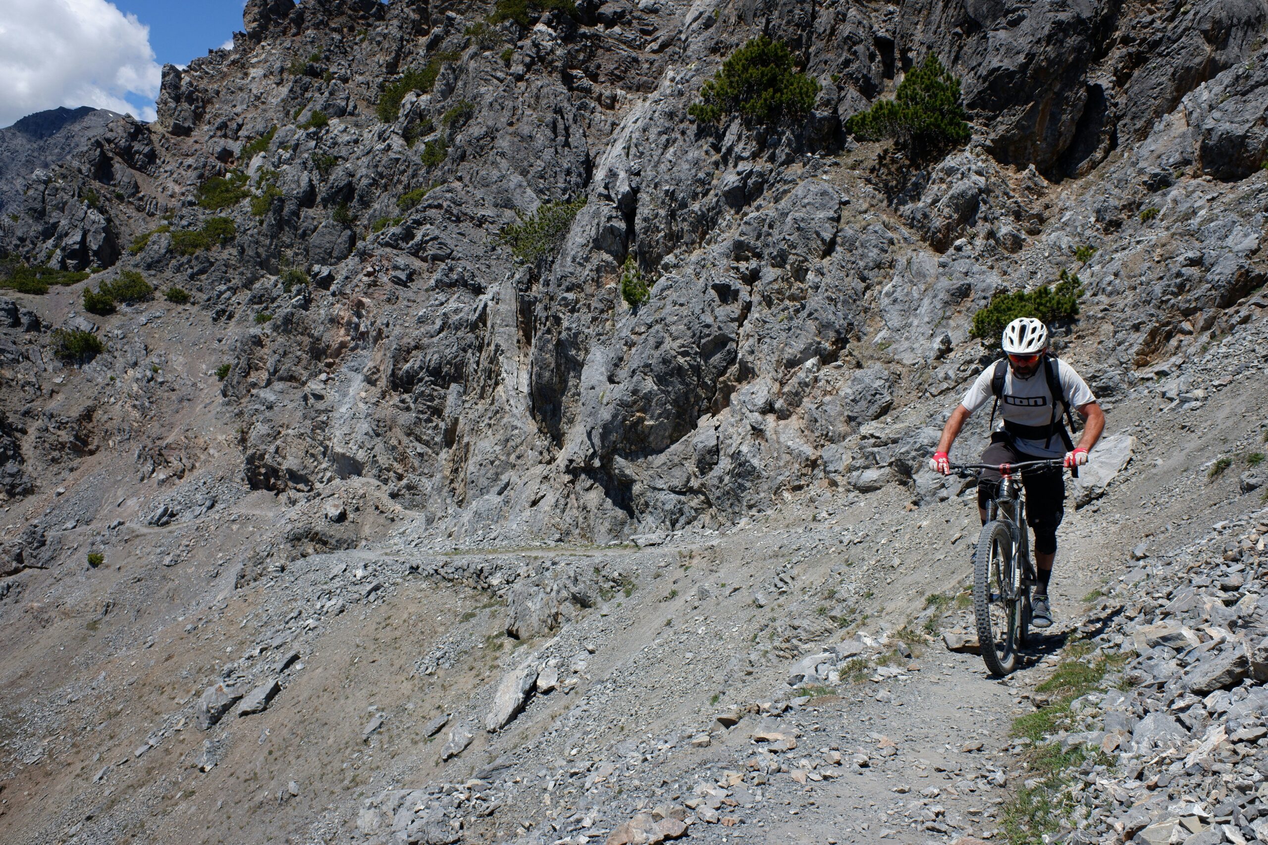 A cyclist on a scenic green bike tour surrounded by nature