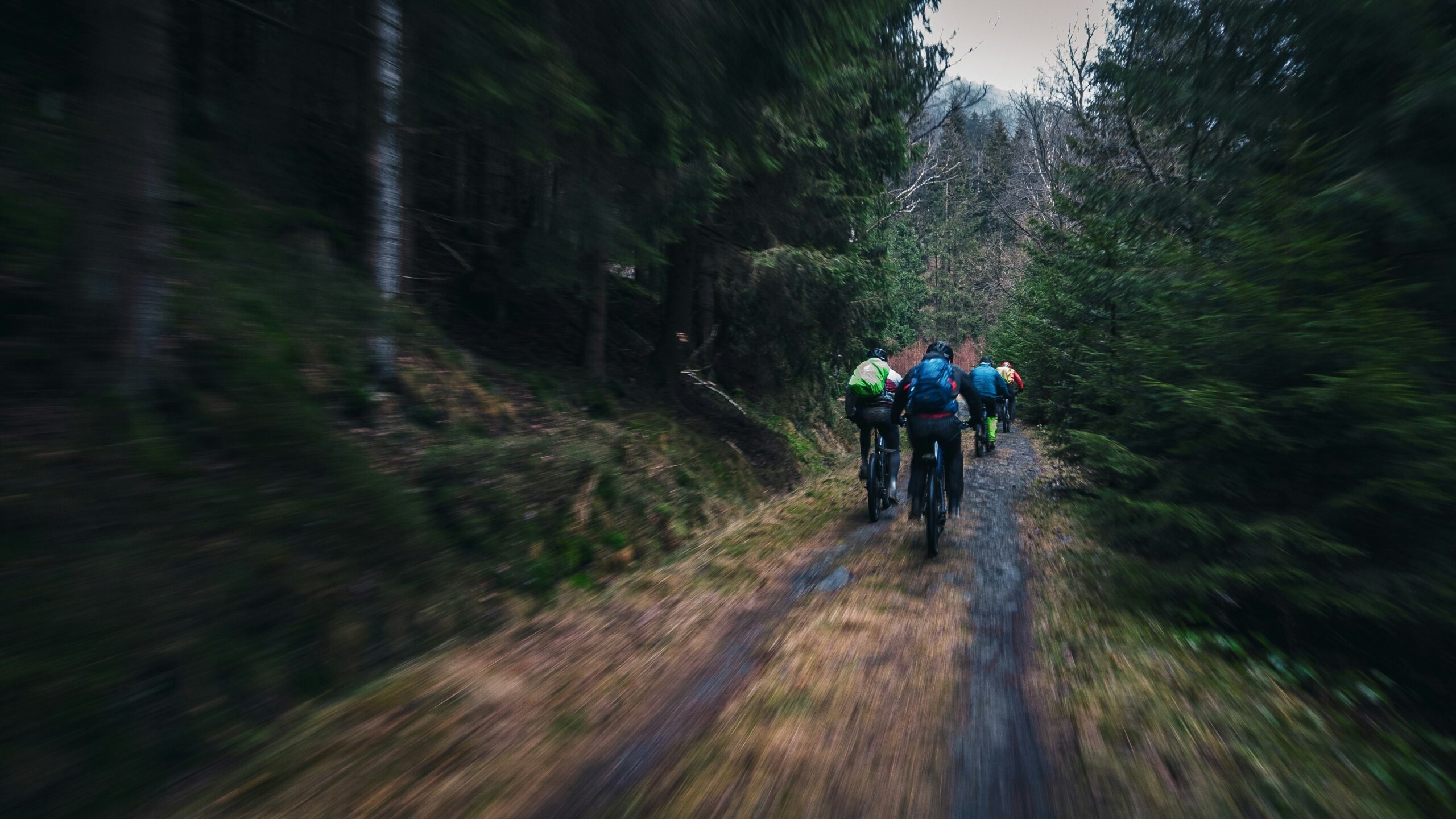 Flowchart guiding users through choosing a mountain bike tour based on skill level, terrain preference, etc.