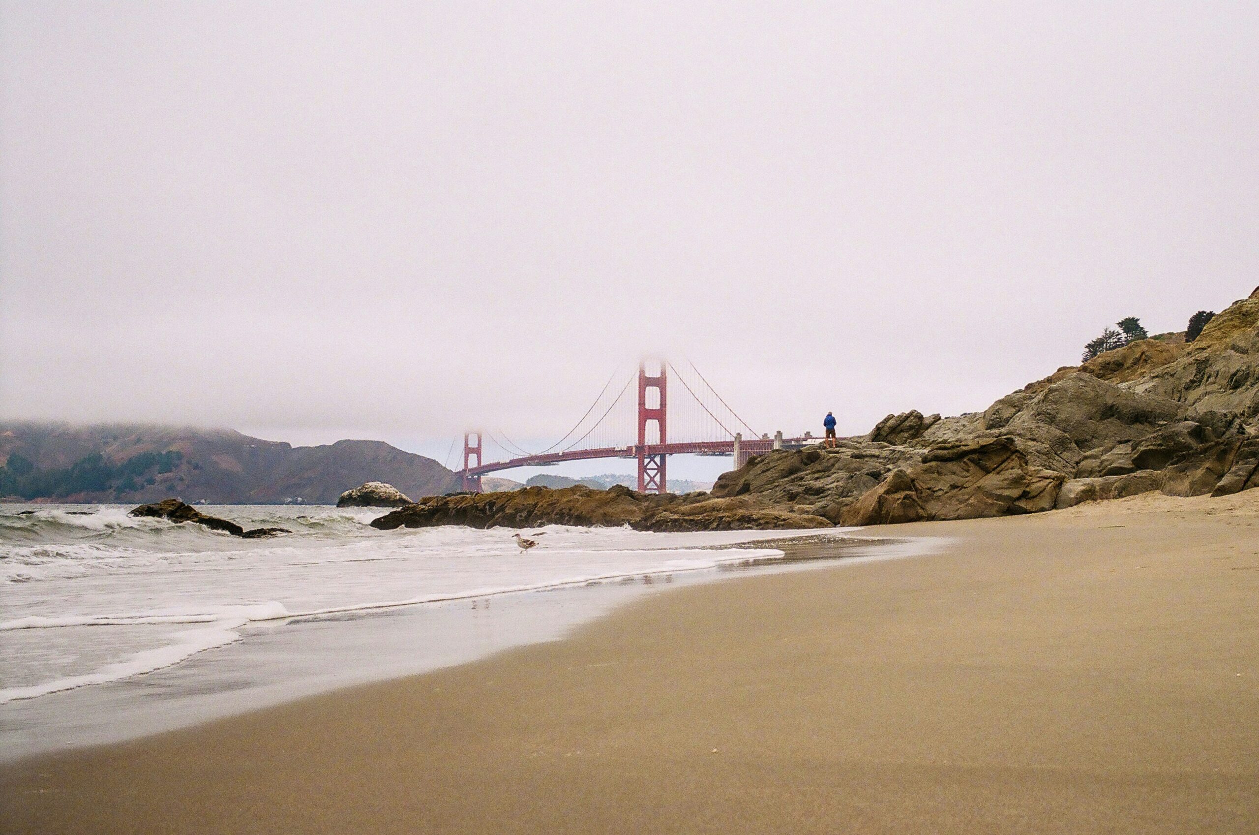 Group of tourists riding e-bikes uphill near Golden Gate Bridge
