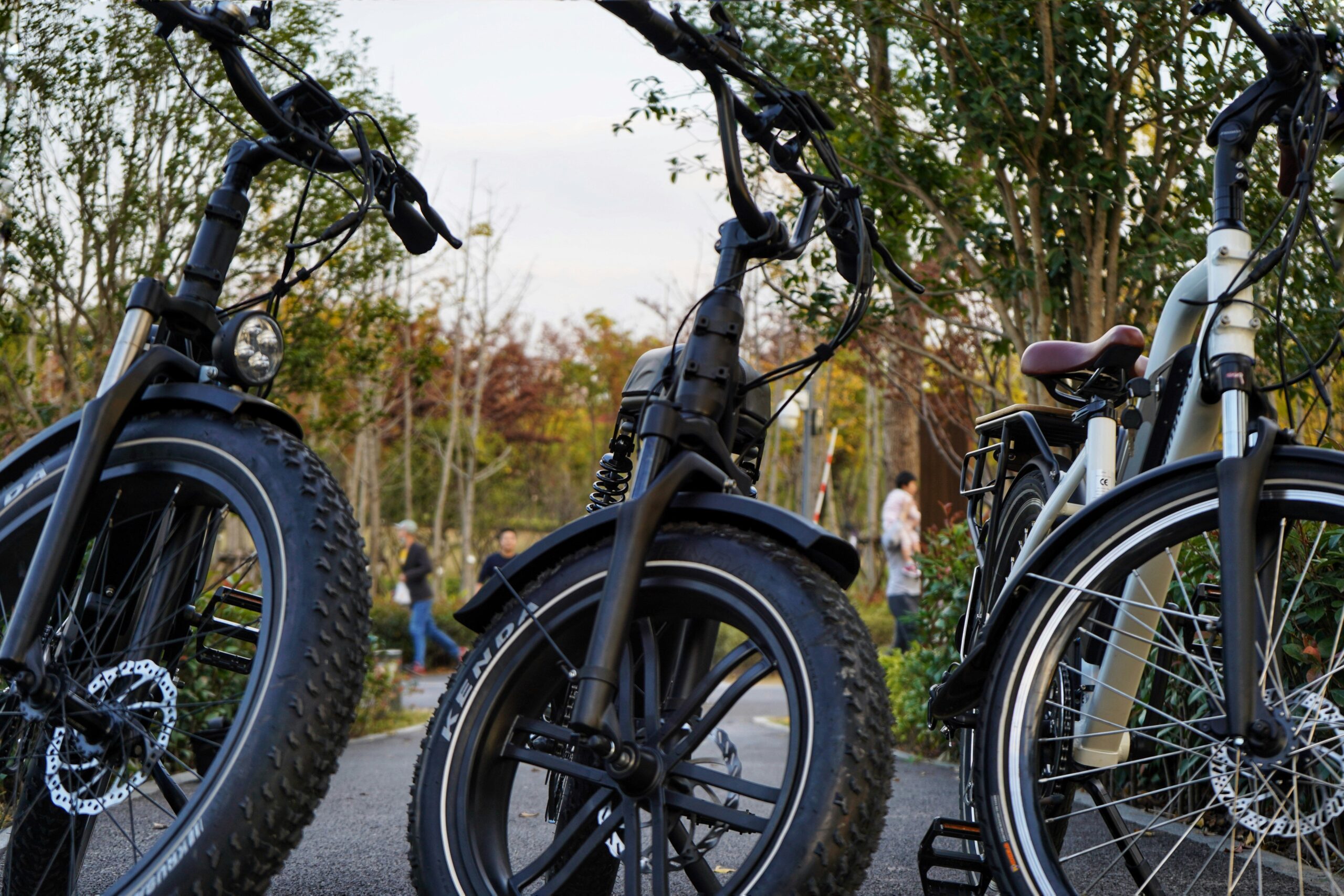 Hill Climb Training: Mastering Ebike Tours Like a Pro