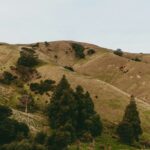 Hill Ebike Adventure: Conquer the Slopes with These Thrilling Tips