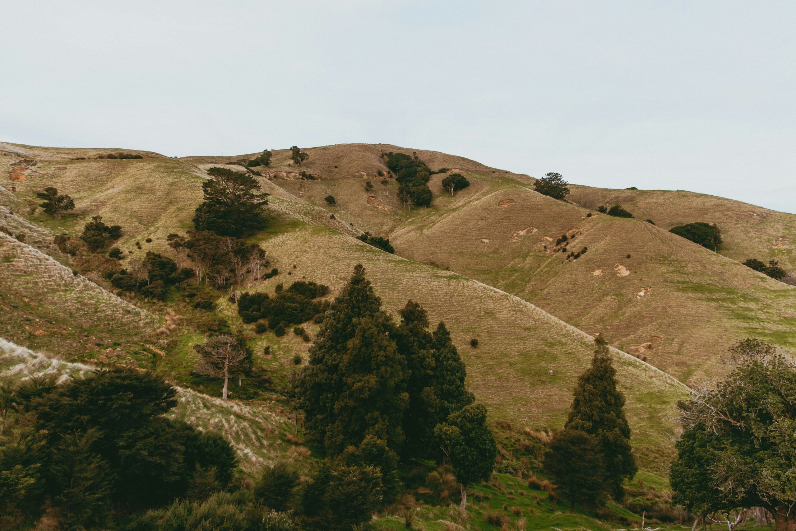 Hill Ebike Adventure: Conquer the Slopes with These Thrilling Tips