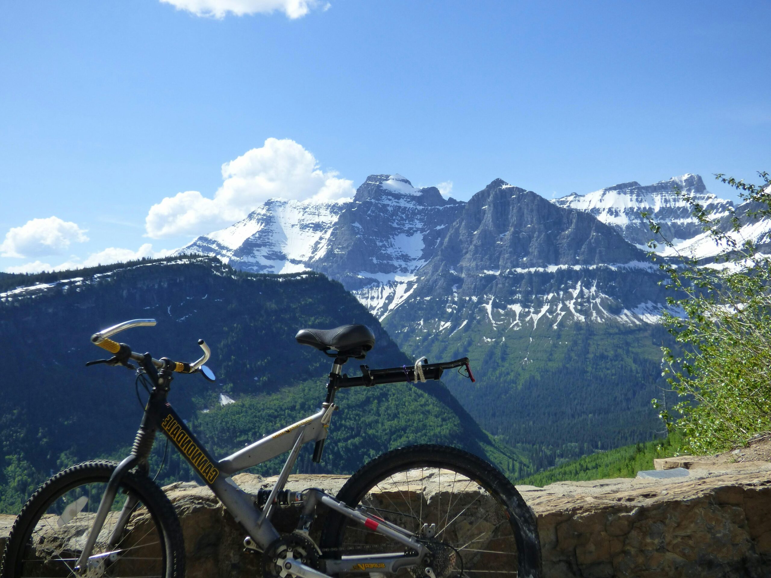 Tourists stopping mid-ride to admire panoramic mountain view.