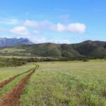 Why a Mountain Ebike Tour is the Ultimate Adventure (and How to Nail It)