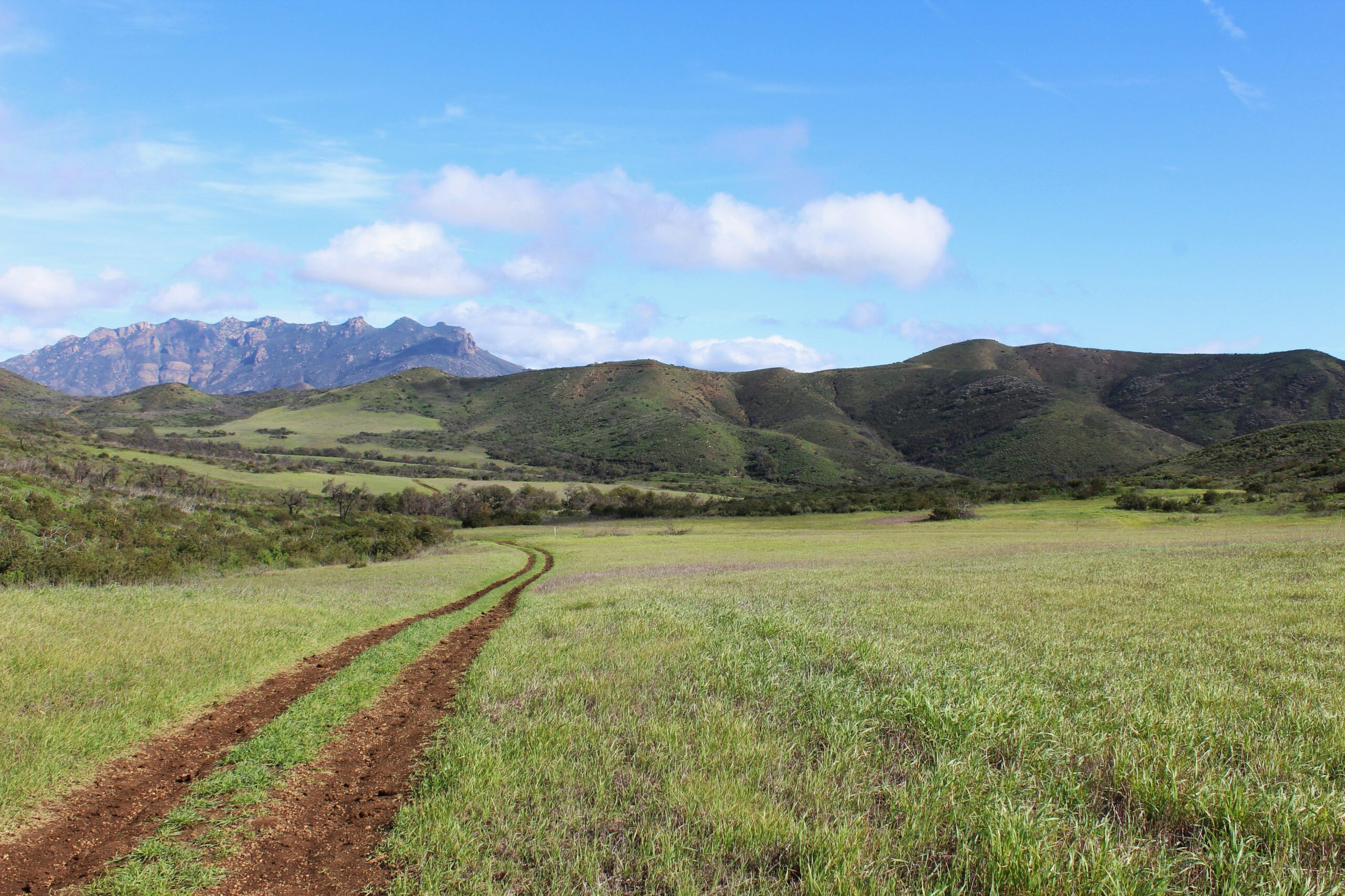 Why a Mountain Ebike Tour is the Ultimate Adventure (and How to Nail It)