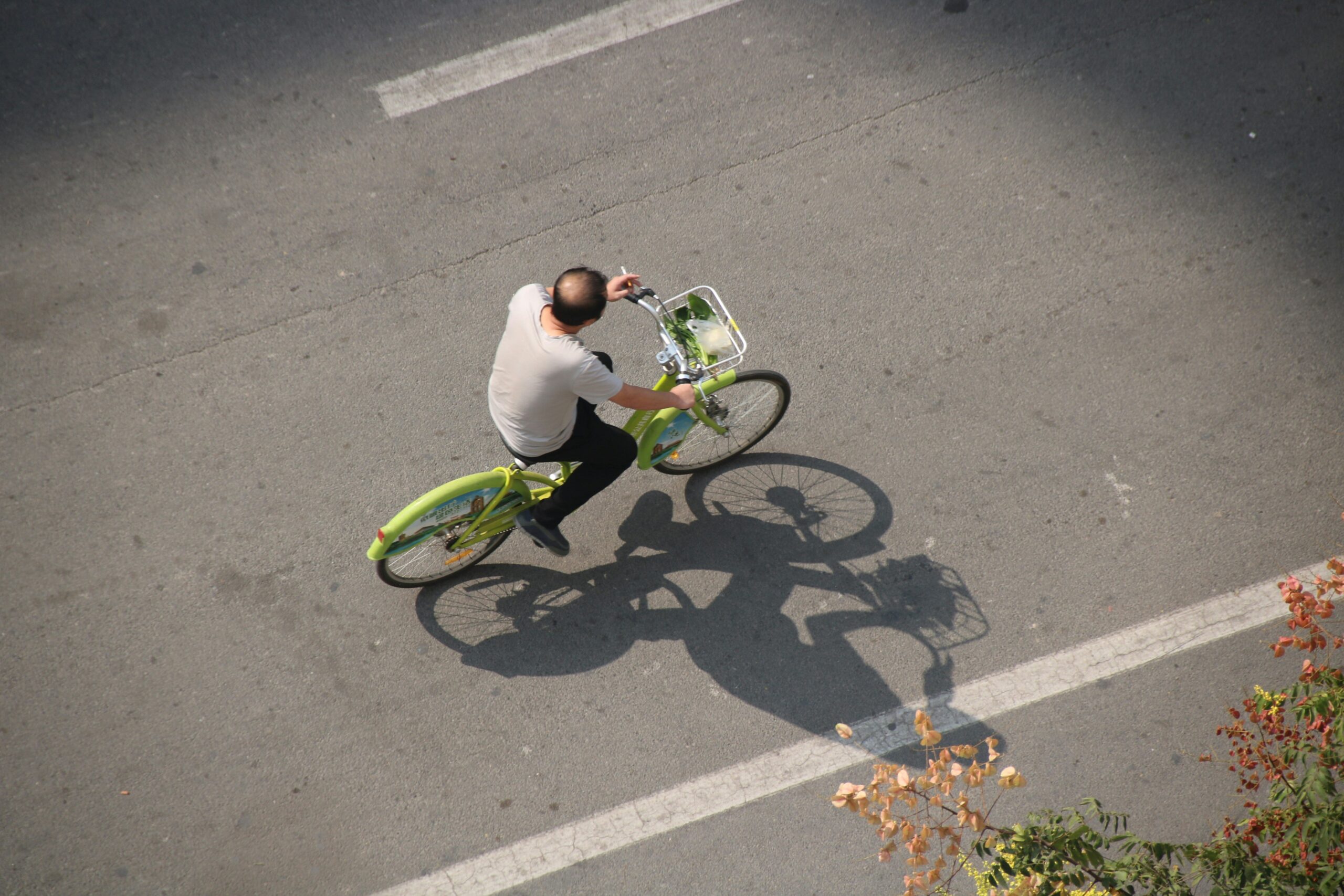Why You Should Try a Green Bike Tour: Eco-Friendly Adventures Await