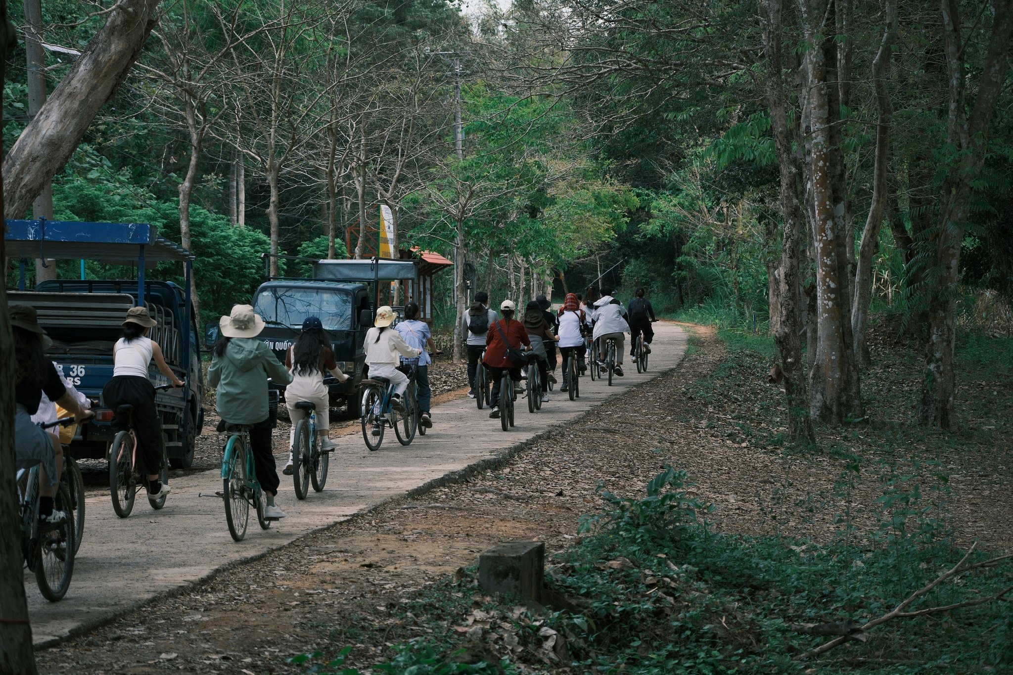 Why Eco-Friendly Bike Tours Are the Ultimate Adventure (And How to Plan Yours)