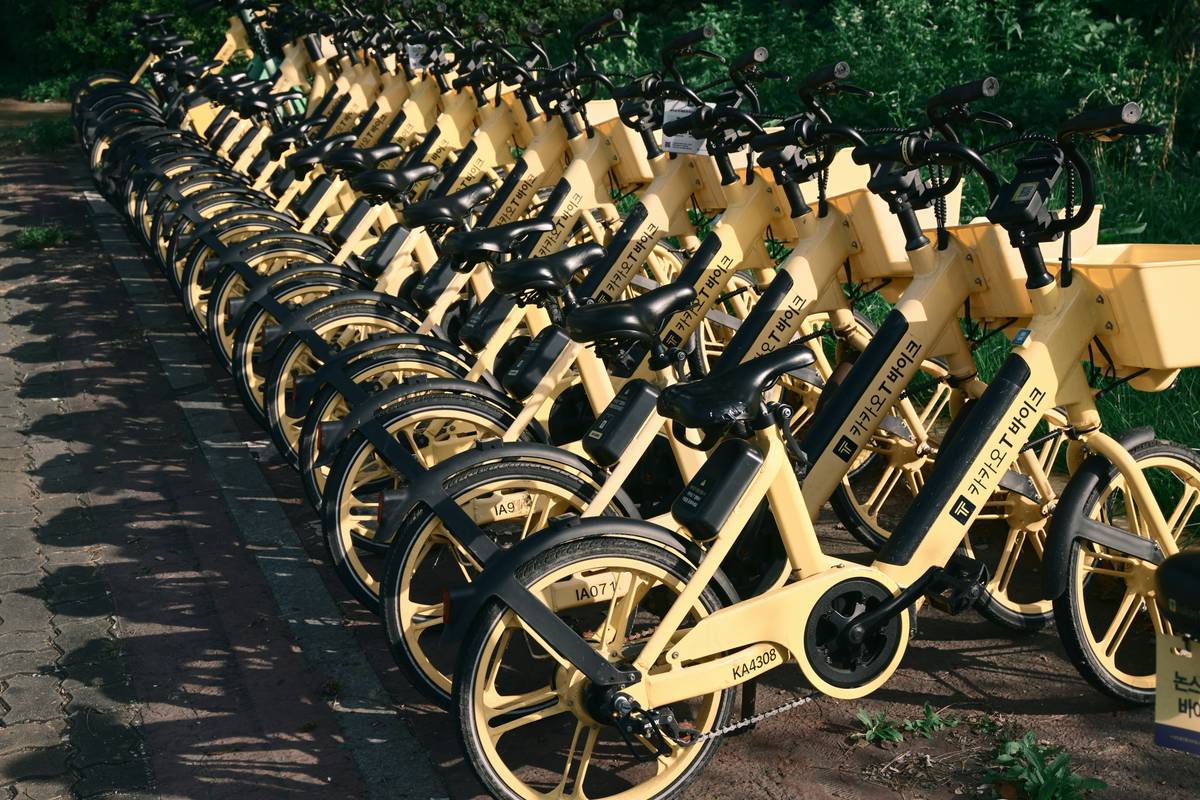 A group enjoying a guided city bike excursion through scenic streets.