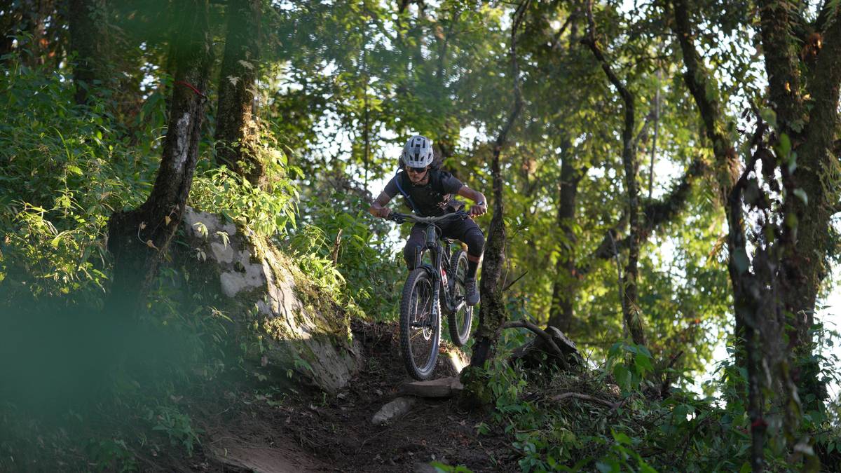 A rider enjoying a serene trail surrounded by lush trees, showcasing eco-friendly travel.