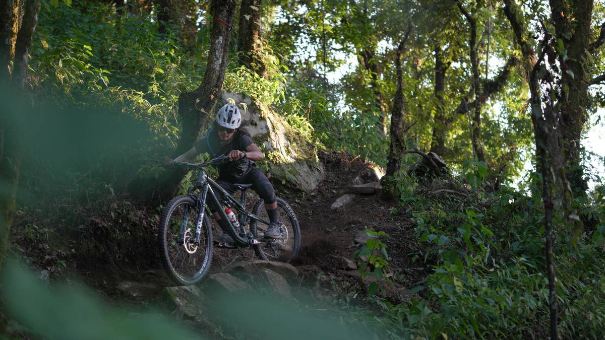 A scenic view of cyclists enjoying a hill ebike excursion along winding forest trails.
