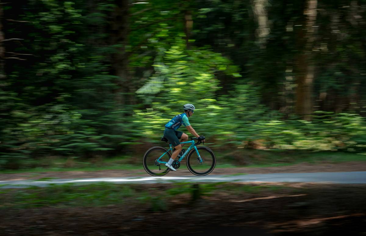 A scenic winding mountain bike path surrounded by trees.