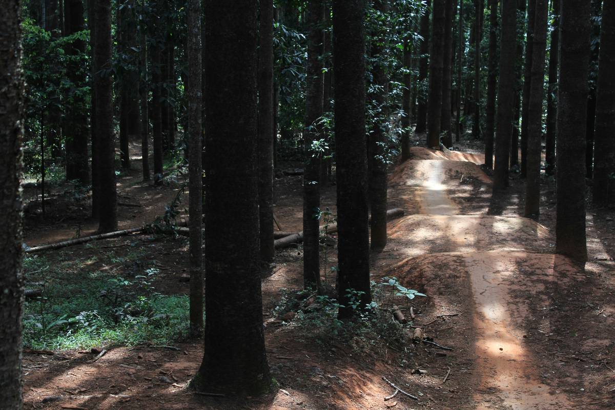 A split image showing a crowded city street on one side and a serene mountain biking trail on the other.