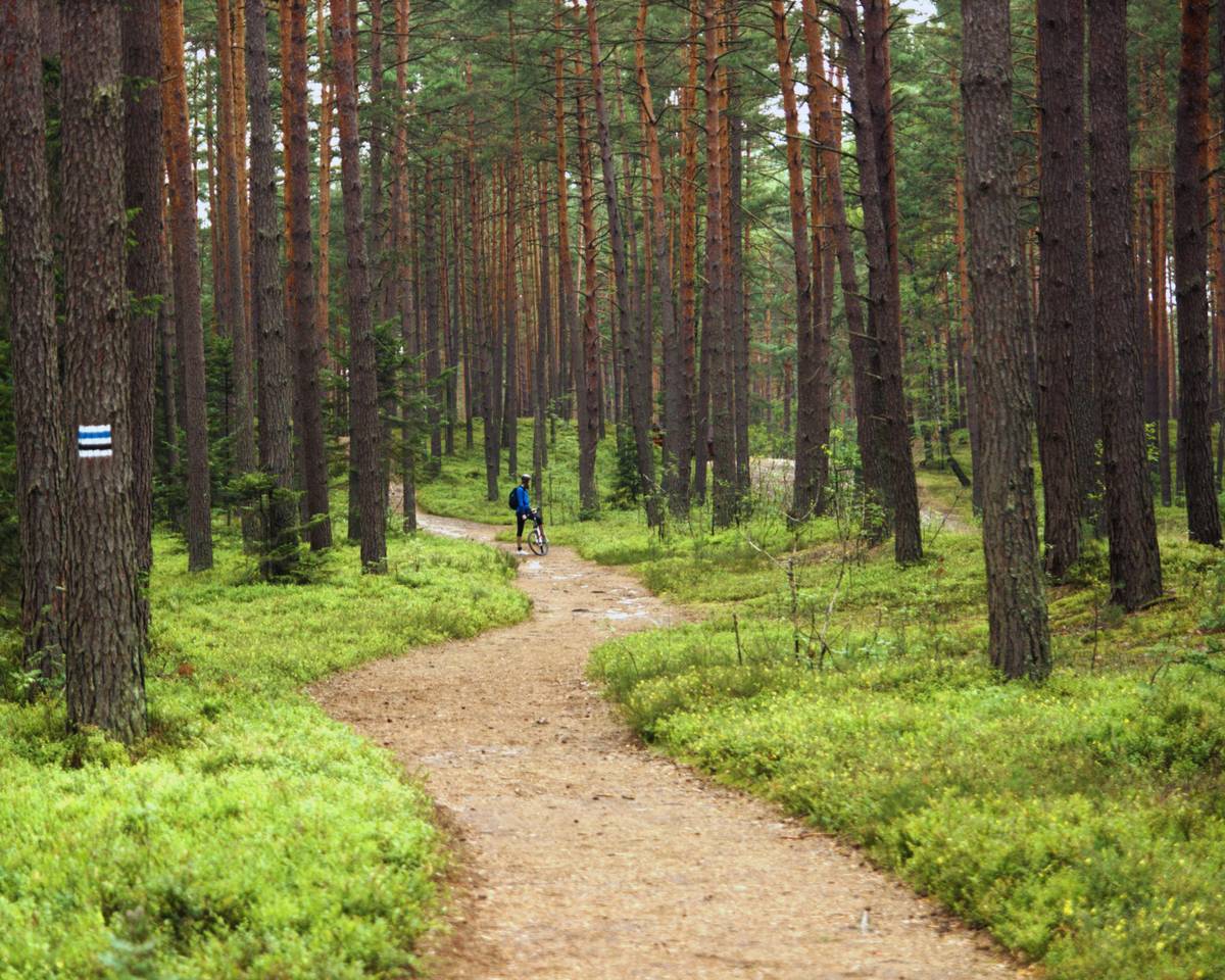 Cyclists preparing for a challenging mountain bike path with safety gear and hydration packs.