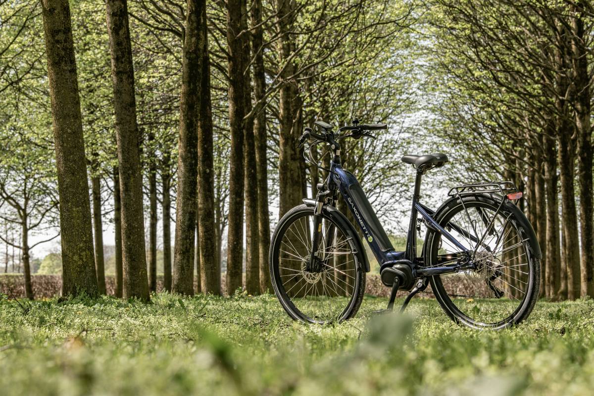 Embark on a Sustainable Ebike Journey: Your Ultimate Guide to Eco-Friendly Adventures