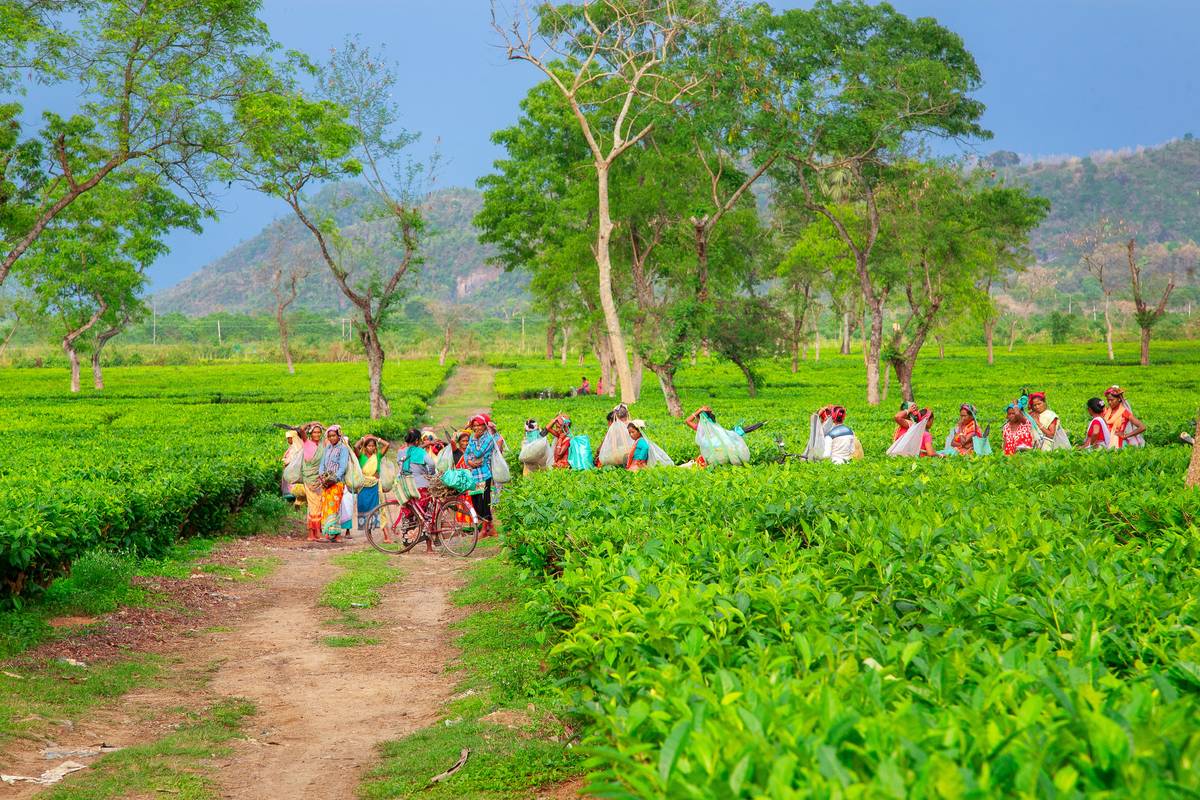 Explore the Best Eco Bike Route: A Thrilling & Sustainable Adventure