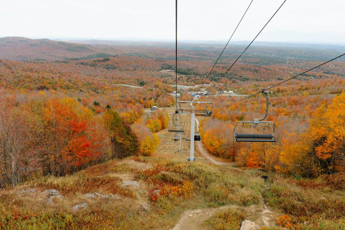 Exploring the Great Outdoors: Why a Nature Bike Excursion is Your Next Must-Try Adventure