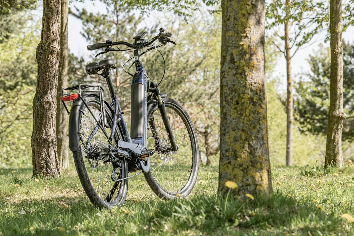 Group of smiling cyclists taking a break near a forest after completing their green e-bike journey.