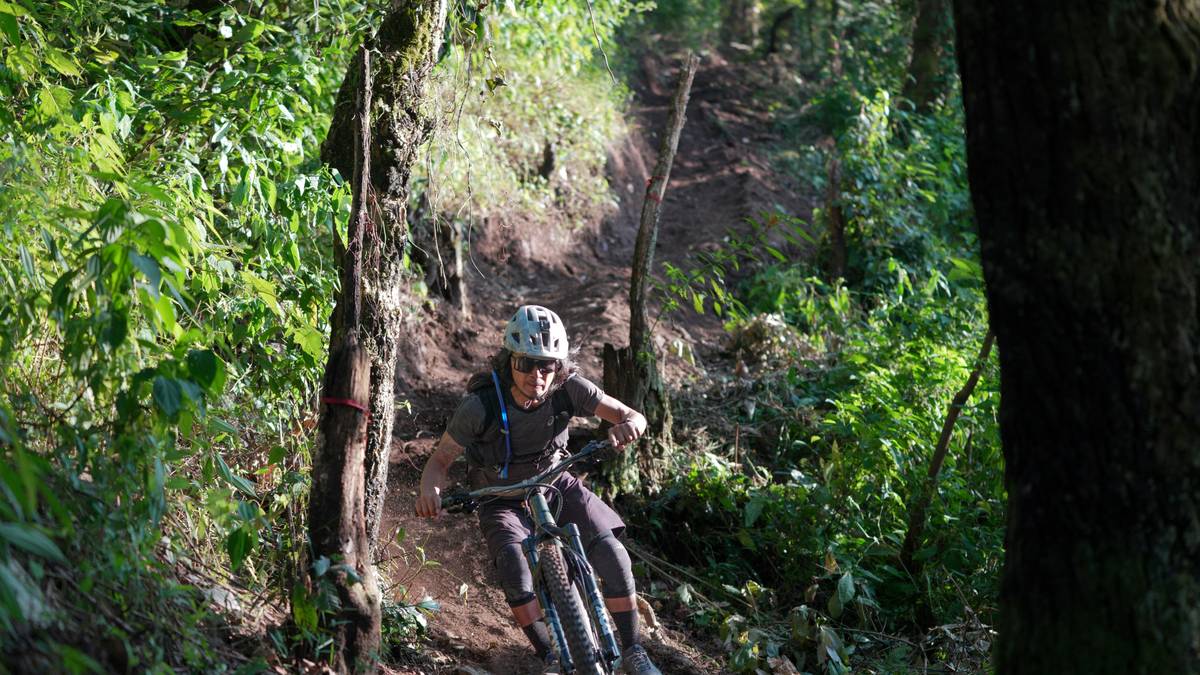 A cyclist riding an eBike on a scenic mountain pedal route surrounded by lush greenery and snow-capped peaks.