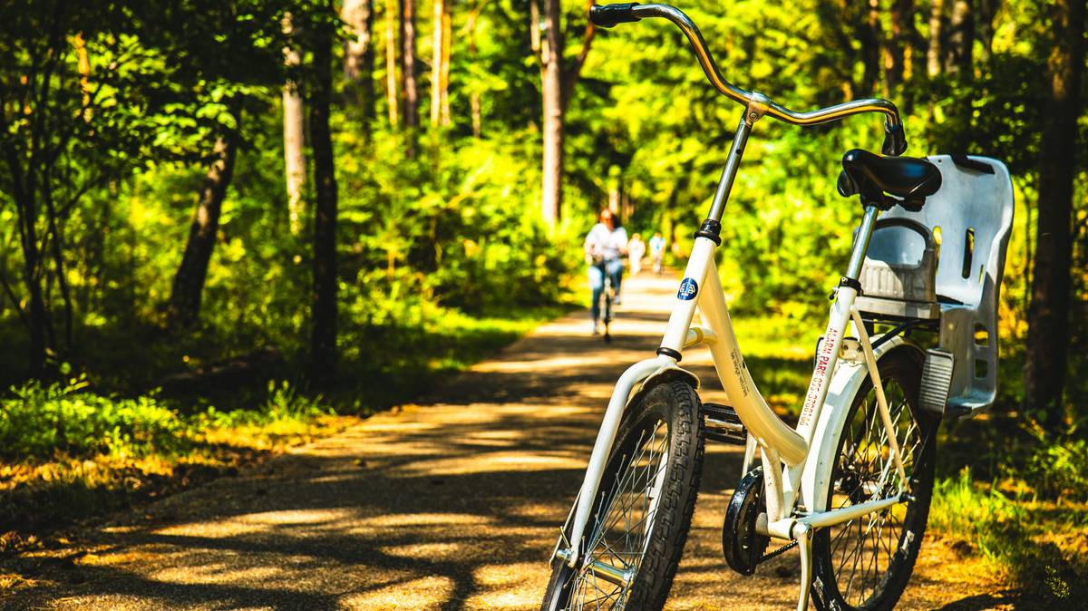 Scenic view of a cyclist on an eco bike route surrounded by lush greenery