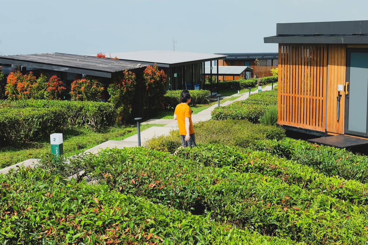 Unlock the Joy of Eco-Friendly Adventures: Your Ultimate Green Ebike Journey Guide