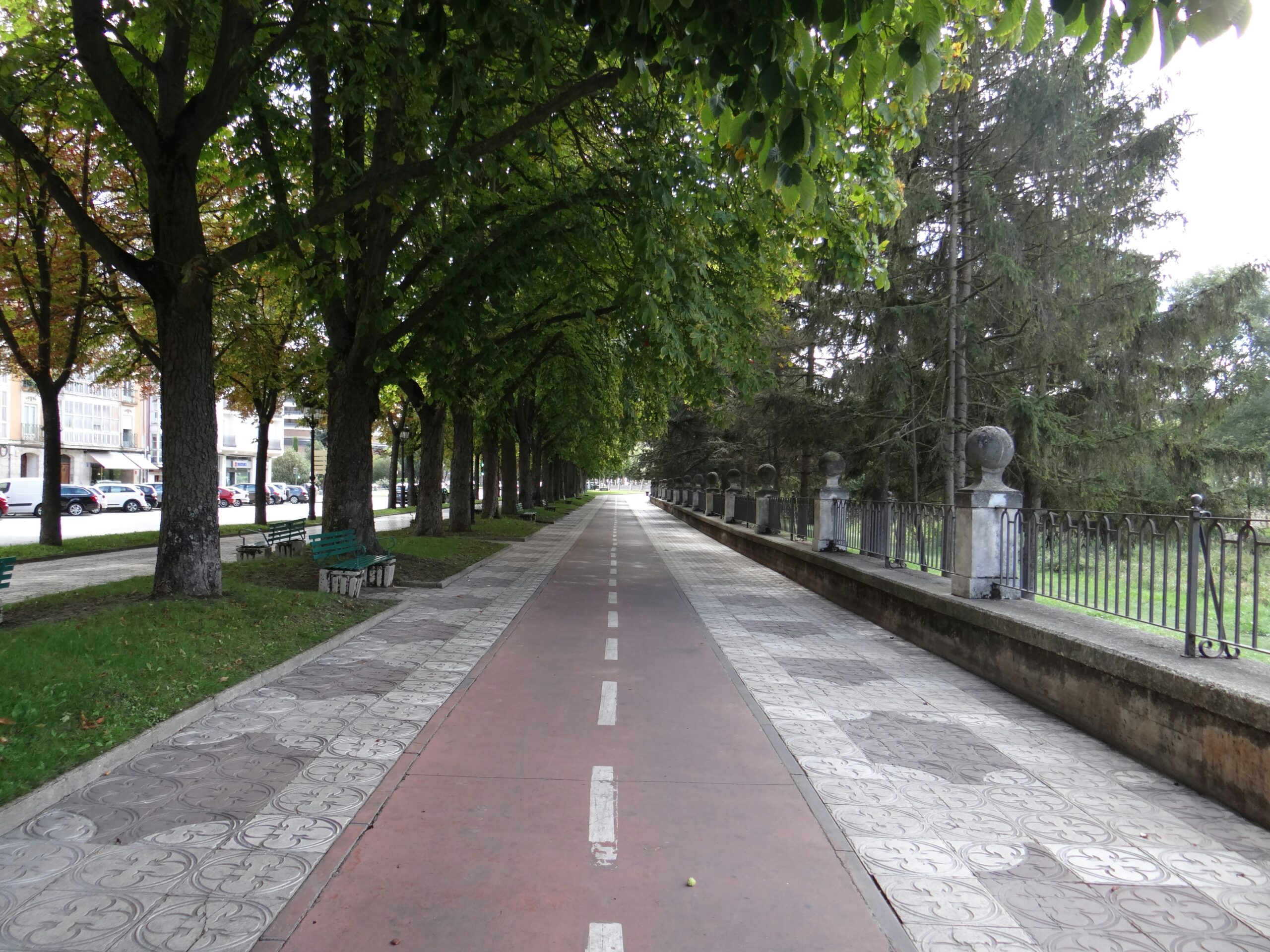 a long sidewalk lined with trees and benches