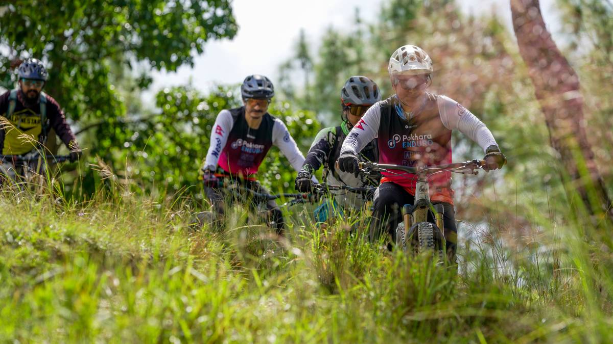 A cyclist riding along a scenic forest path on an eco-friendly e-bike