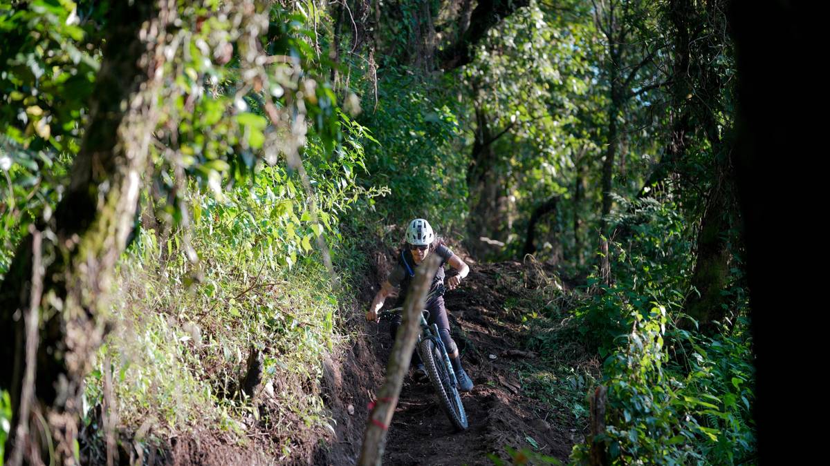 A cyclist riding an e-bike up a scenic hill bike path surrounded by lush greenery.