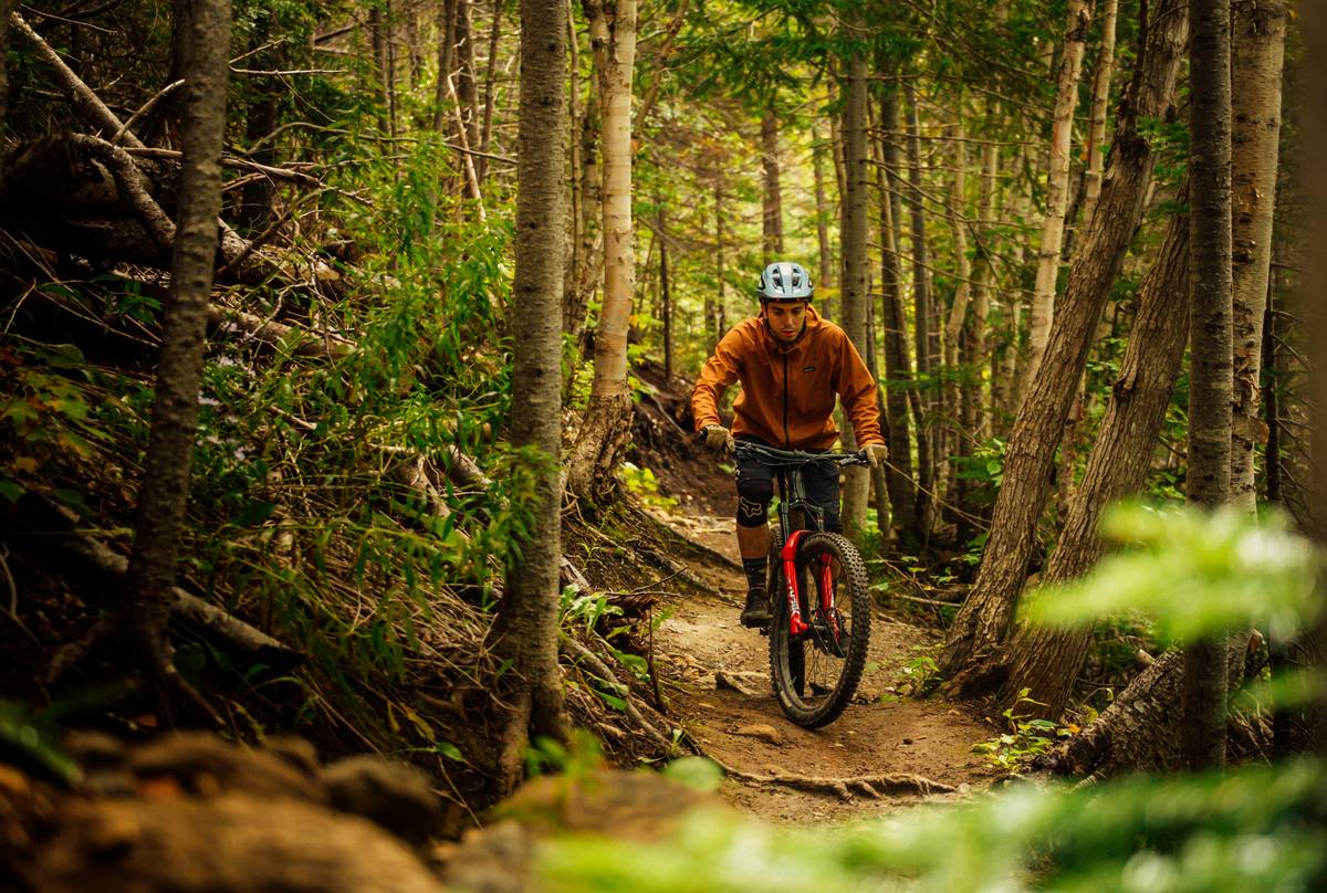 A cyclist riding an electric bike along a scenic mountain trail with lush greenery and distant peaks.