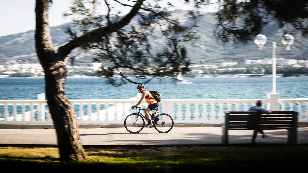 A scenic nature bike path winding through lush greenery