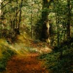 Discover the Ultimate Mountain Bike Route: A Thrilling Guide to eBike Tours