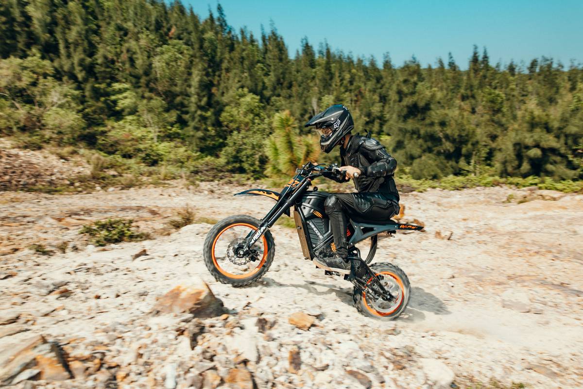 Rider enjoying a scenic mountain ebike adventure through lush forests