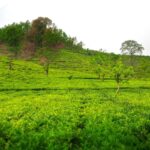 Sustainable Bike Adventure: Your Ultimate Guide to Eco-Friendly E-Bike Tours