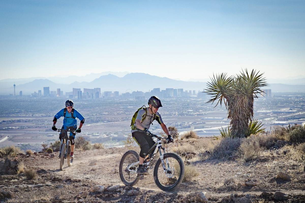 Unlock the Ultimate City Bike Adventure: Why eBike Tours Are Your Next Must-Try